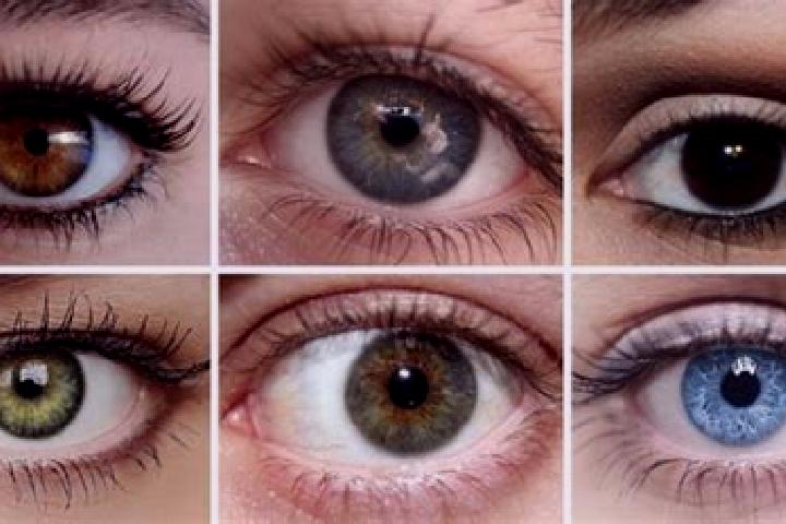 escort Olhos d Agua