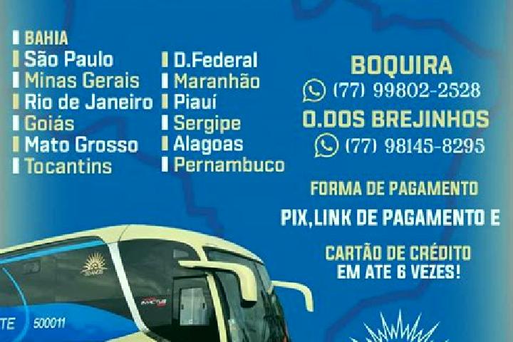 escort Oliveira dos Brejinhos