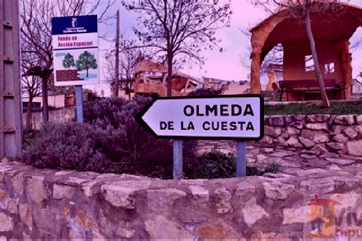 escort Olmeda de la Cuesta