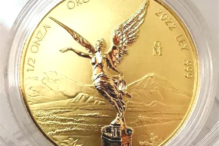 escort Onza de Oro