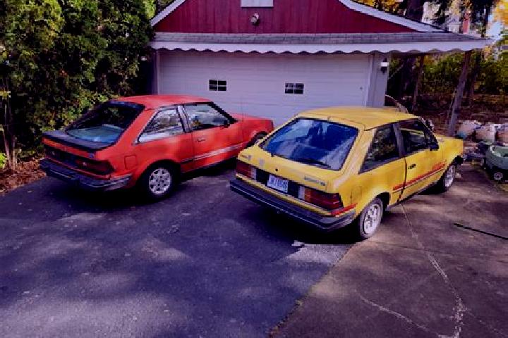 escort Opotiki