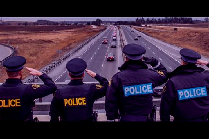 escort Opp
