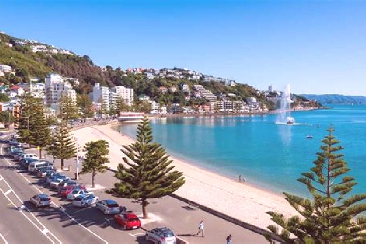 escort Oriental Bay