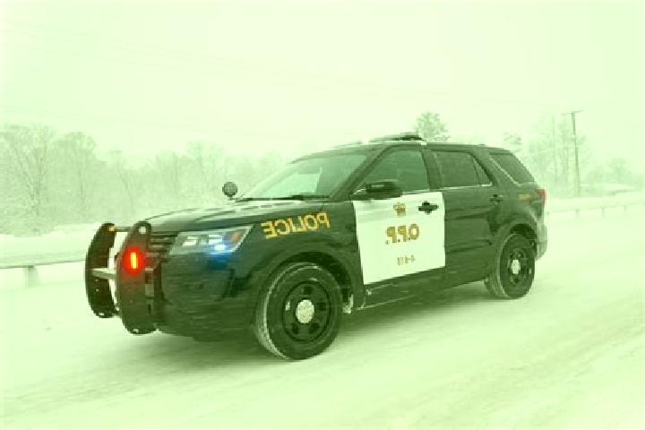 escort Orillia