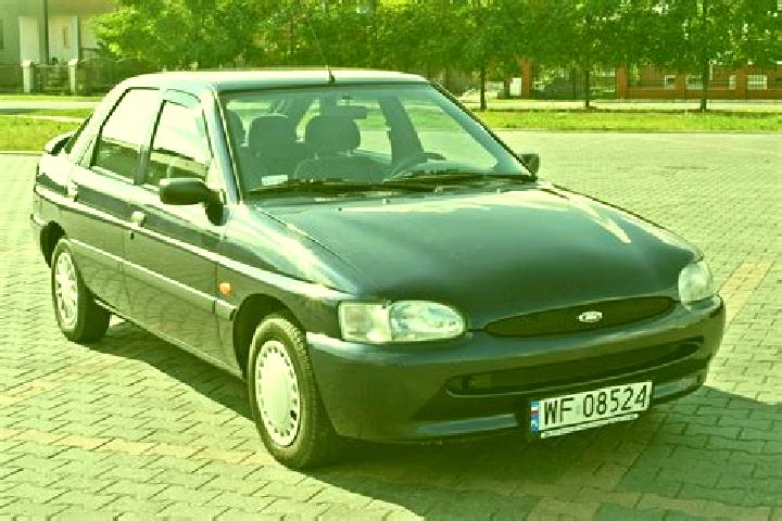 escort Orzignano