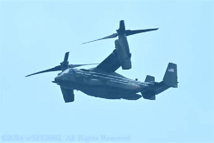 escort Osprey