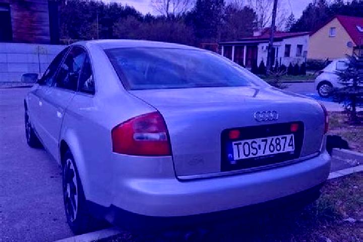 escort Ostrowiec