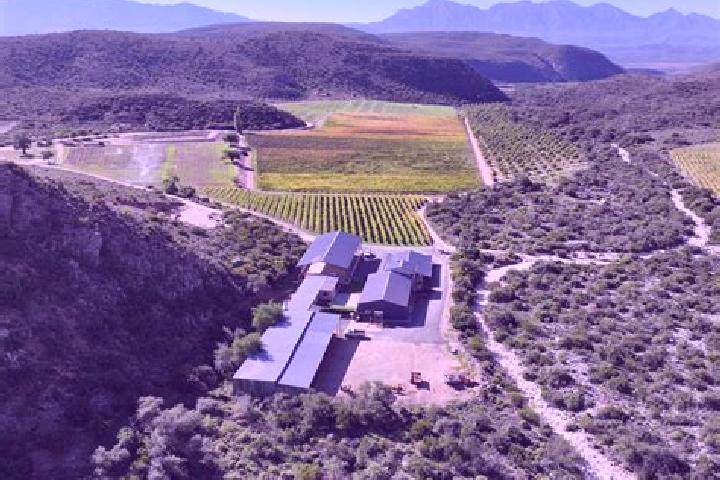 escort Oudtshoorn