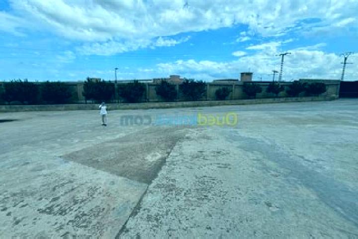 escort Oued el Alleug