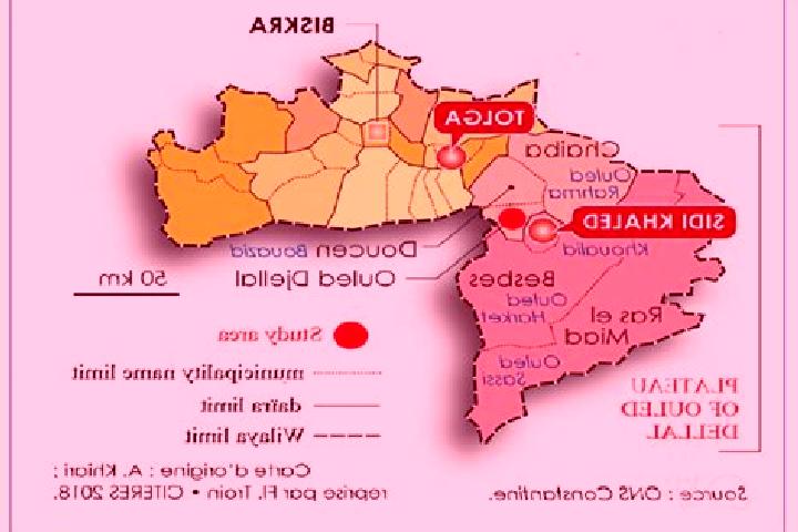 escort Ouled Djellal