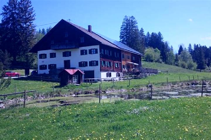 escort Oy-Mittelberg