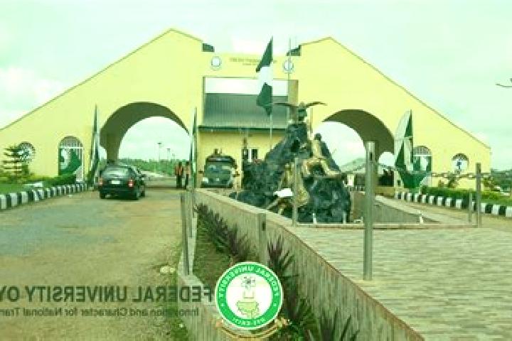 escort Oye-Ekiti