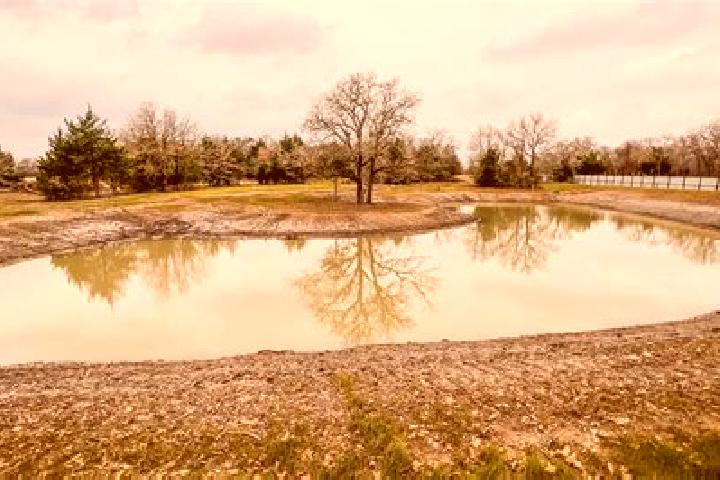 escort Oyster Pond