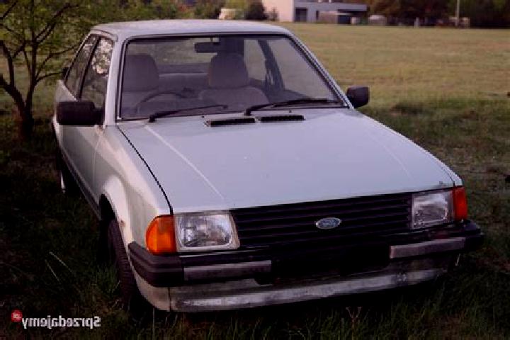 escort Ozimek
