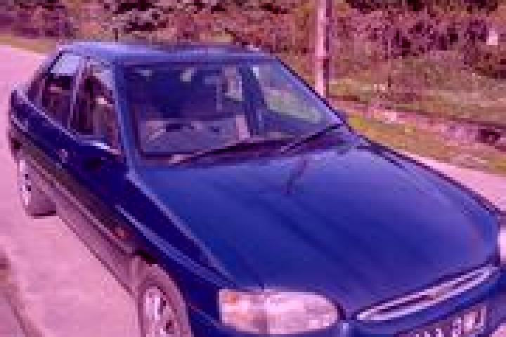 escort Pabianice
