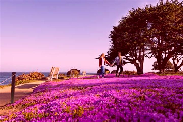 escort Pacific Grove