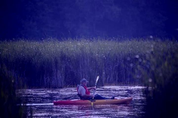 escort Paddle Prairie