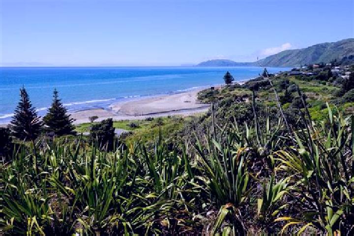 escort Paekakariki