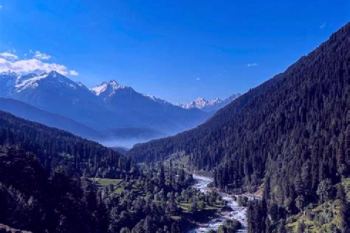 escort Pahalgam