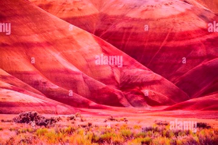escort Painted Hills