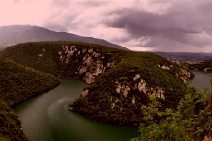 escort Pajic Polje
