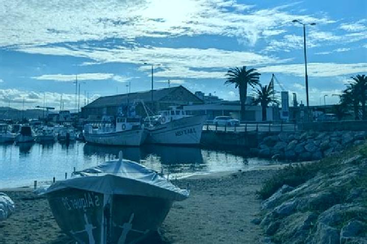 escort Palamos