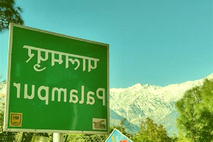 escort Palampur