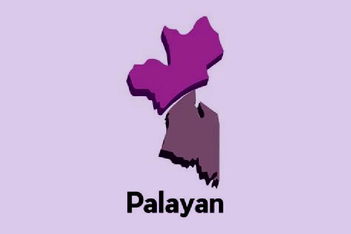 escort Palayan City
