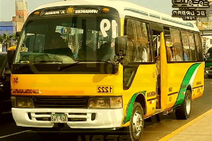 escort Palcamayo