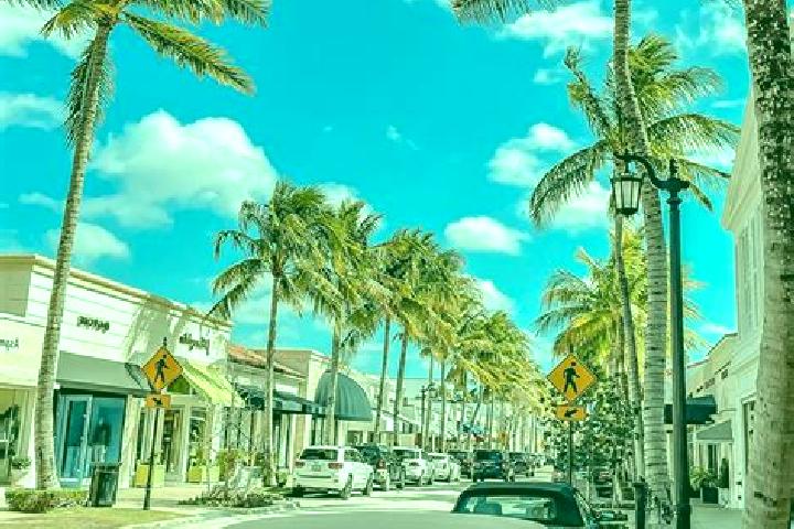 escort Palm Beach
