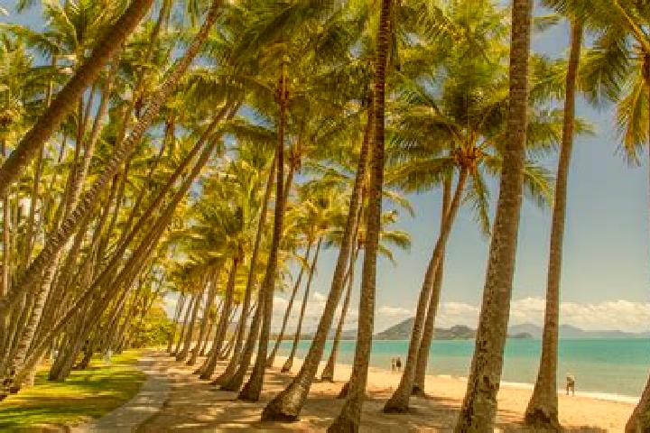 escort Palm Cove