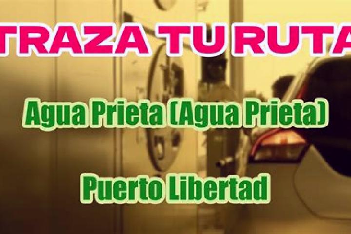 escort Palma Prieta