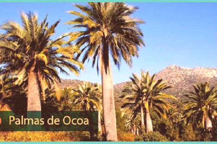 escort Palmar de Ocoa