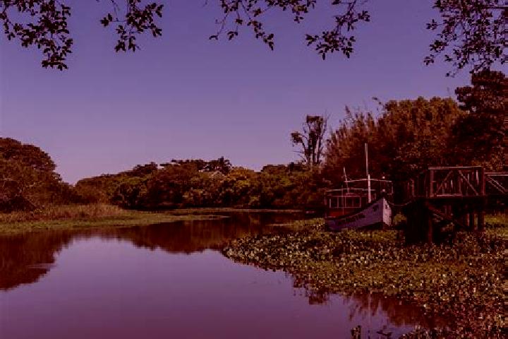 escort Palmares do Sul