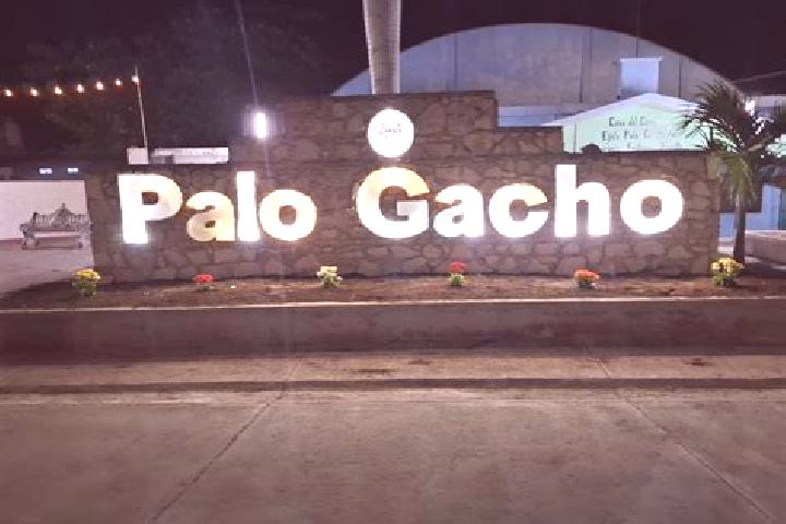 escort Palo Gacho