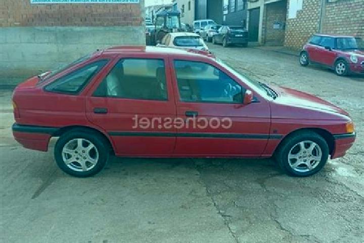 escort Palo Pintado