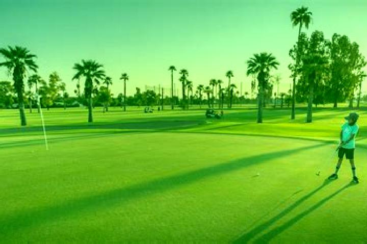 escort Palo Verde