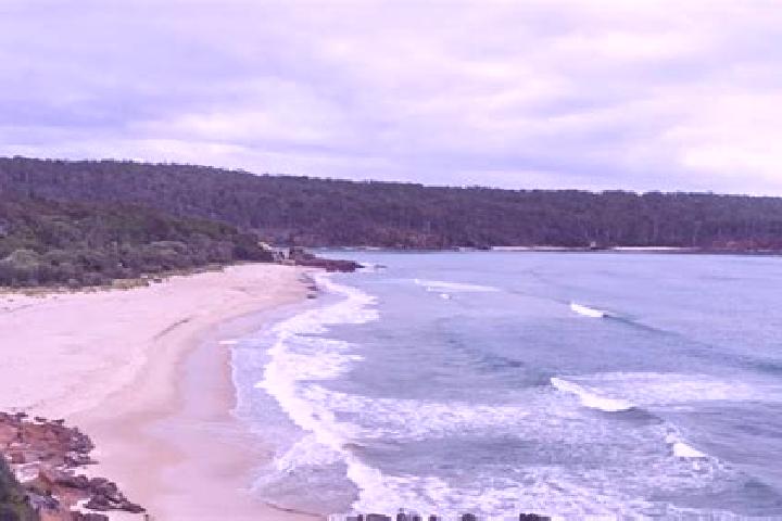 escort Pambula Beach