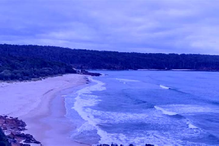 escort Pambula