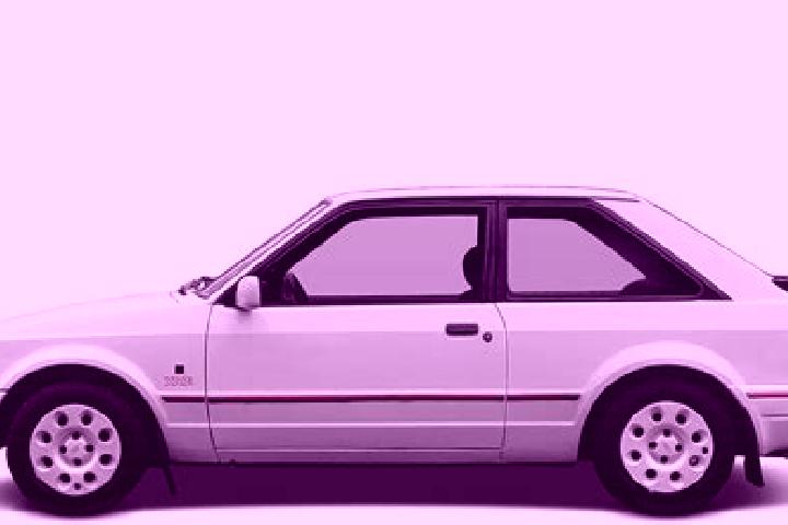 escort Pamplico