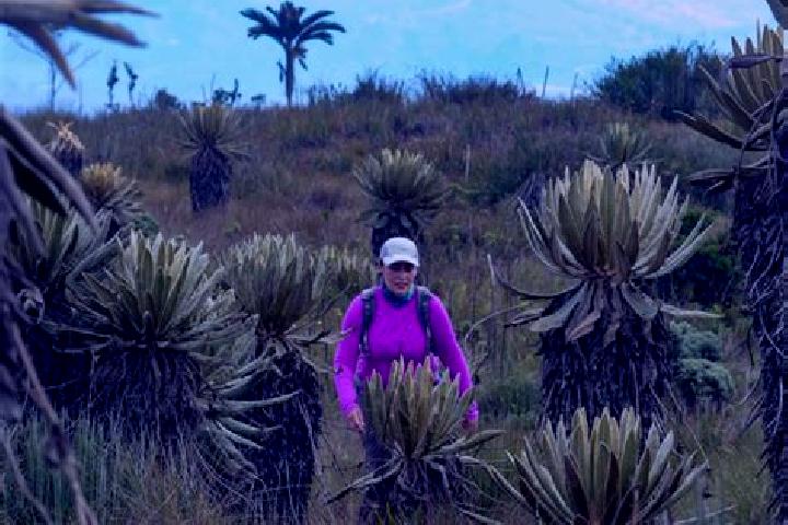 escort Paramo de Morelos