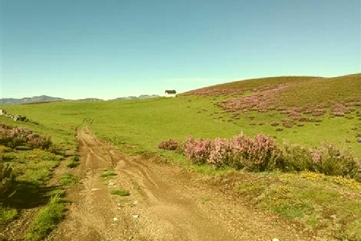 escort Paramo del Sil