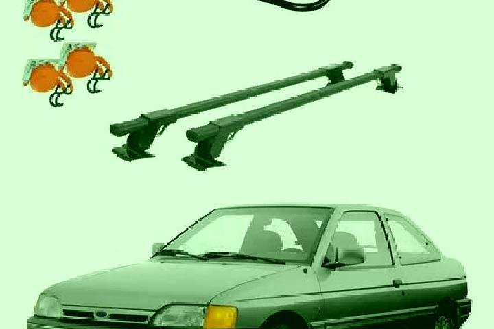 escort Parrilla