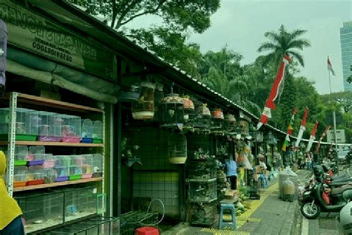 escort Pasar Sabtu