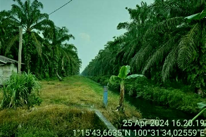 escort Pasir Pengaraian