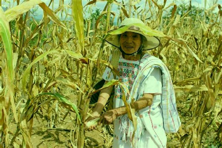 escort Paso de la Milpa