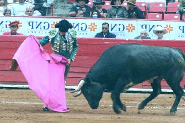 escort Paso de los Toros