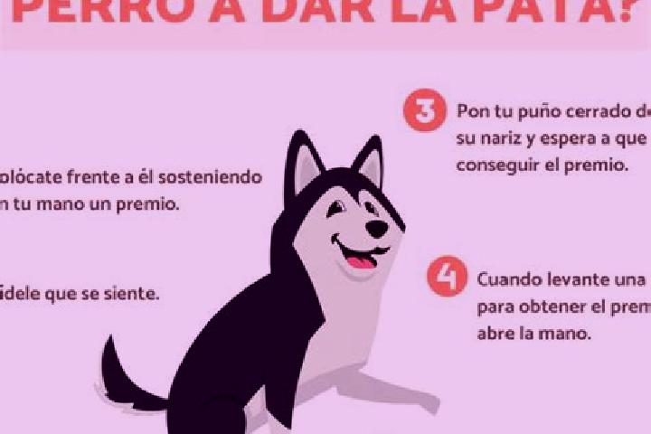 escort Paso del Perro