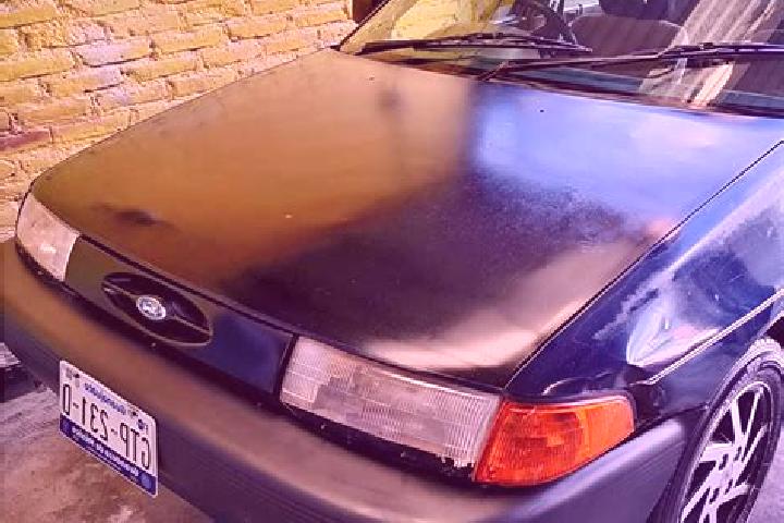 escort Paso Nuevo