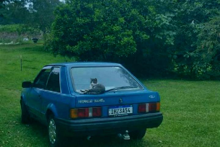 escort Passo do Sobrado